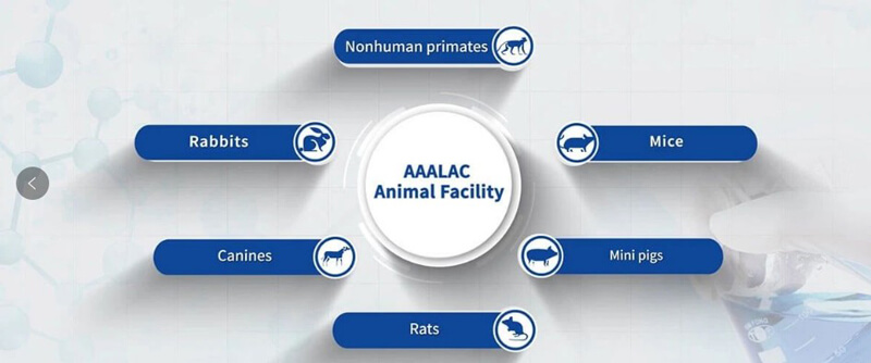 东盟体育
临床前研究实验室通过国际实验动物评估和认可（AAALAC）.jpg